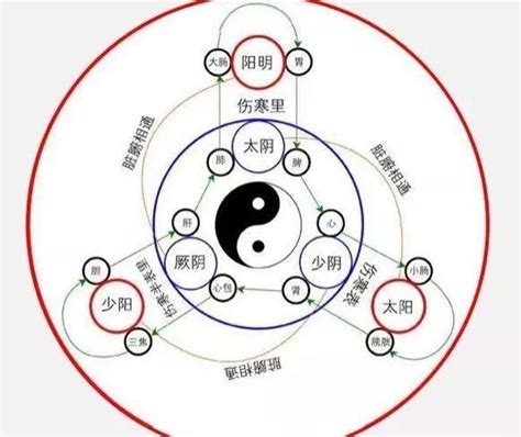 三陰三陽 日本|陰一陽と三陰三陽